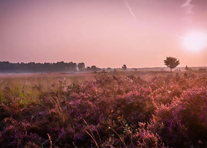 18 Persoons Veluwe * Voorthuizen