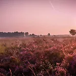 18 Persoons Veluwe * Voorthuizen