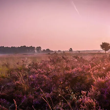 18 Persoons Veluwe * Voorthuizen